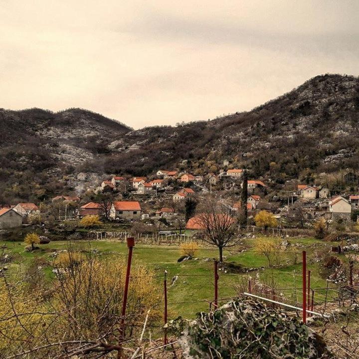 House On The Hill Villa Cetinje Dış mekan fotoğraf