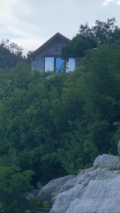 House On The Hill Villa Cetinje Dış mekan fotoğraf