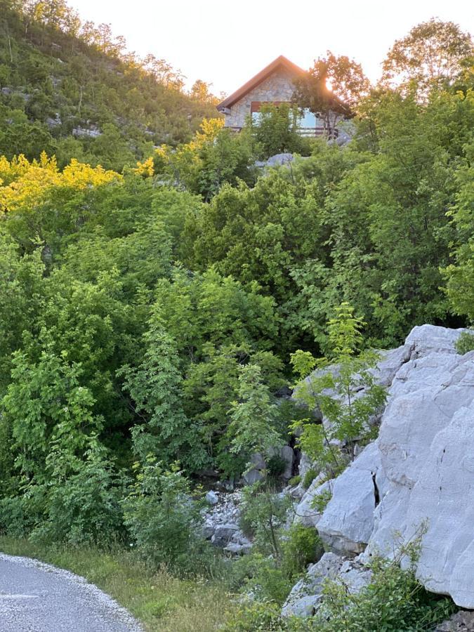 House On The Hill Villa Cetinje Dış mekan fotoğraf